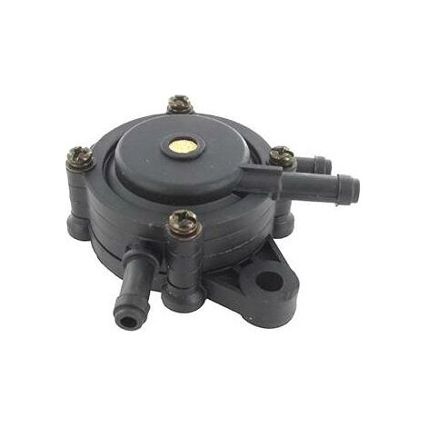 Pompe A Essence Universelle Briggs Et Stratton - 491922, 692313, 808656