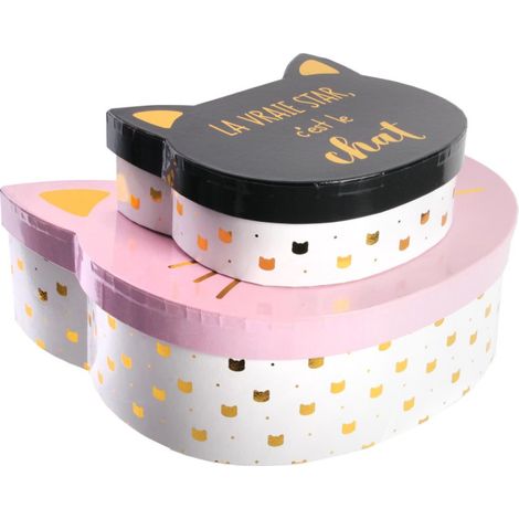 Lot de 2 Boîtes de Rangement "Chat" 25cm Rose (1/4)