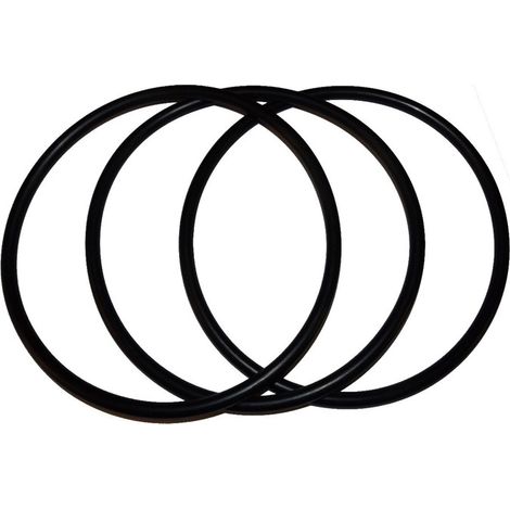 Joint d’Étanchéité en O-Ring pour Couvercle de Pompe Pentair 350013 – Compatible IntelliFlo, WhisperFlo (1/4)