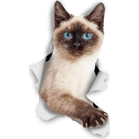 Pegatinas de pared de gato 3D - Pack de 2 - Divertidas pegatinas decorativas - Pegatinas de gatito siamés para pared, nevera, baño y habitación (7 x 12 cm) (1/4)