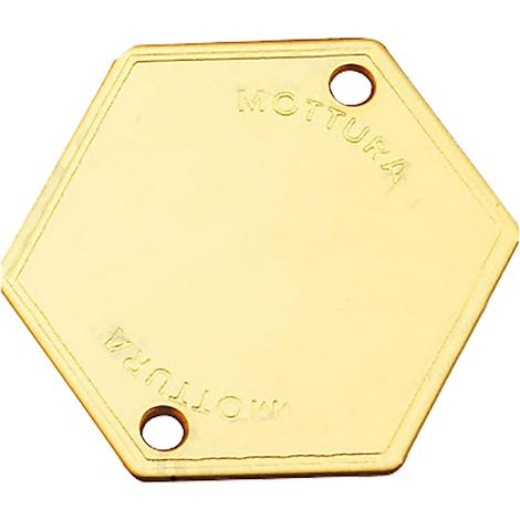MOSTRINA COPRIFORO ART.95146 finitura bronzata - MOTTURA