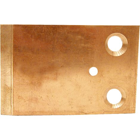 Piastra trincia insilato per il carro alimentatore Trioliet-Mullos Vicon 21911