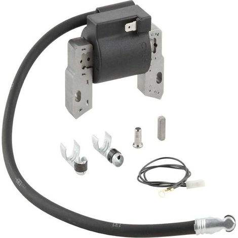 Bobina de encendido de alta tensión compatible con 591420 395489 398593 397316 (1/3)