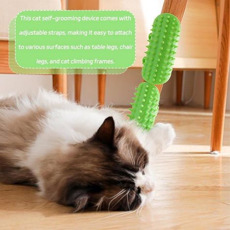 Jouets pour chats - Ensemble de 4 - Un excellent cadeau pour les amoureux des chats à offrir à leurs animaux de compagnie bien-aimés (1/4)