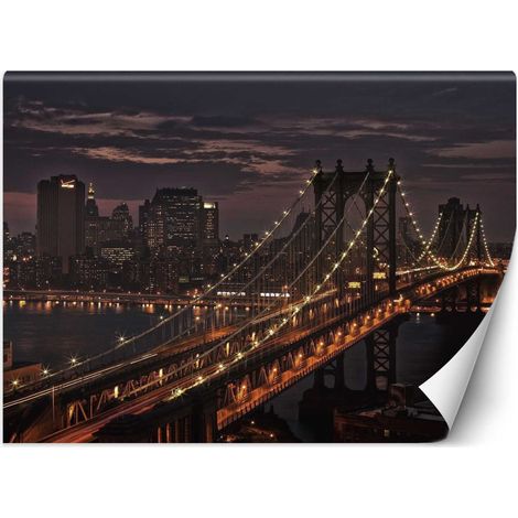 Carta Da Parati, Ponte a New York - 250x175 (1/5)