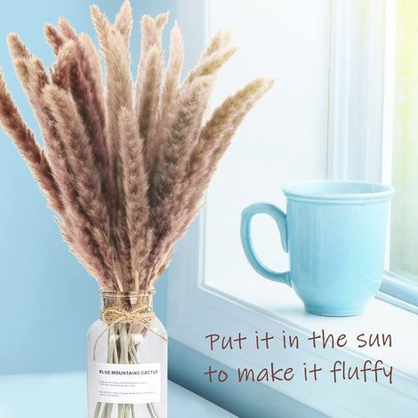 Herbe de pampa séchée naturelle, 30 pcs phragmites d'herbe de pampa 45 cm, bouquet de plantes séchées vases décoratifs pour la maison salon intérieurs photographie hôtel mariage (1/5)