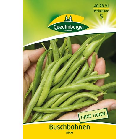 Quedlinburger Buschbohnen Maxi - Gemüsesamen (1/2)