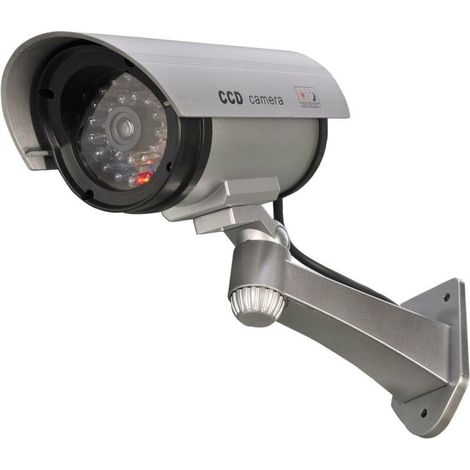 Terre Jardin – Caméra de surveillance factice – Angle d'inclinaison ajustable – Fonctionne avec 2 piles LR06 – Effet dissuasif garanti (1/5)