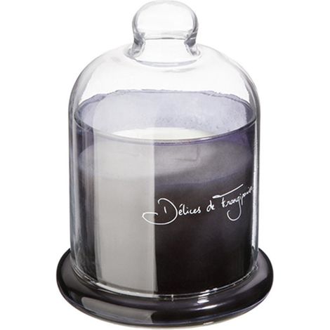 Bougie Parfumée sous Cloche "Loyd" 650g Délices Frangipanier (1/2)
