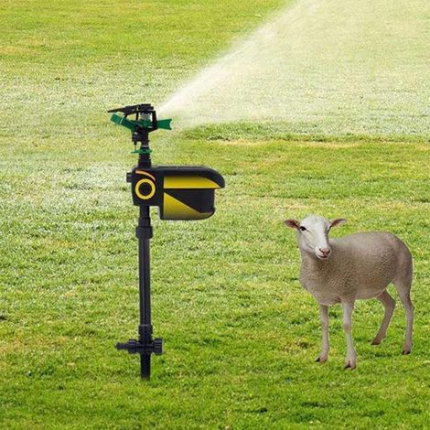 Solar-powered motion-activated sprinklers to repel animals.High quality enhances quality of life. (1/5)