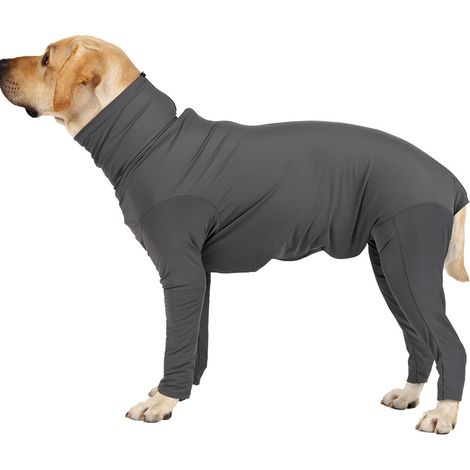 Combinaison pour chien