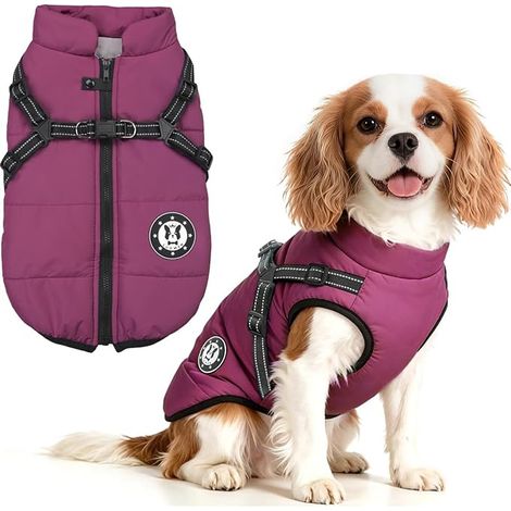 Manteau de chien chaud d'hiver imperméable avec harnais, Veste de chien pour petits chiens moyens, Machine lavable bandes réfléchissantes Design, D-Ring durable (1/5)