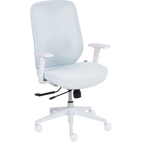 Silla de oficina ergonómica con soporte lumbar reposabrazos ajustables asiento deslizante de malla azul claro Zeler (1/5)