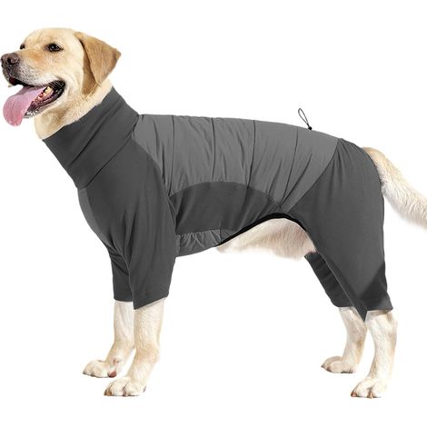 Dog Winter Coat Cold Weather High Collar Clothing for Puppy (1/5)