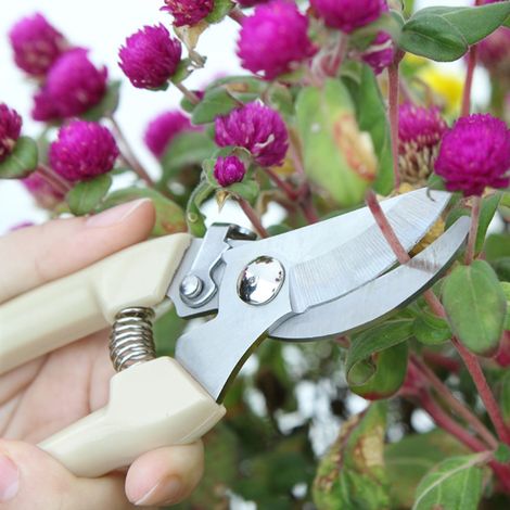 2-teiliges Gartenscheren-Set: Gartenschere mit gebogener Klinge und Bypass-Schere (1/5)
