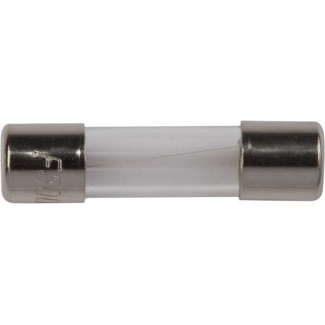 Geräteeinsatz 5x20mm 10A F /schnell/ 250V 006710027 /10 Stück/