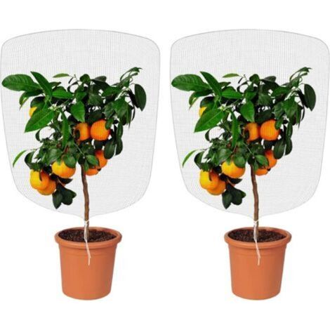 Filet Anti Insecte, 2pcs Filet de Protection Contre Les Insectes, Filets de Jardin Anti Insectesavec Cordon de Serrage Maille Fine pour Protéger Les Plantes en Pot (1 x 1,5 m)