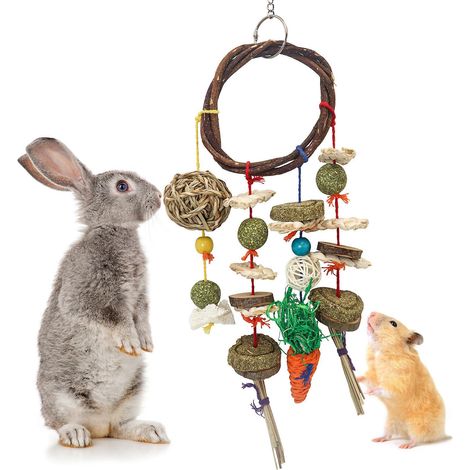 jouets  Mcher Pour Lapin, Jouets Snacks Pour Petits Animaux, Jouets De Cochon D'inde, Soins Des Dents Pour Hamster Cochon D'inde Chinchilla Perroq (1/5)