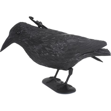 Cuervo negro: un eficaz repelente de aves y decoración de jardín