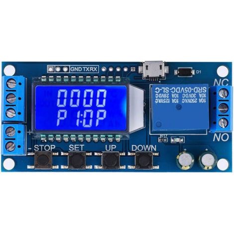 Module de Relais à Retard, Minuterie de 5V/12V/24V avec Écran LCD, 0,01 s à 9 999 min Odipie (1/4)
