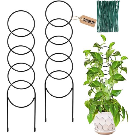 Bardusch-Supports pour plantes grimpantes d'intérieur, petits supports pour plantes en pot de jardin, accessoires pour plantes d'intérieur, hoya (1/5)