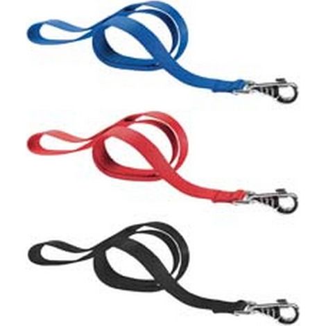 2PZ guinzagli nylon club per cani - cm.1,5x120 colore blu g15/120