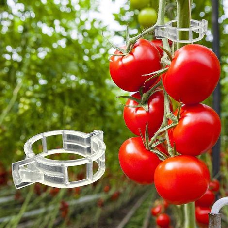 300 clips de treillis en plastique pour tomates, clips de support pour plantes grimpantes, tomates et légumes, pour le jardin et la croissance verticale, améliorent la santé des plantes. (1/5)
