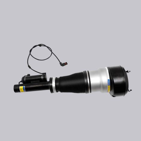 Aria Ammortizzatore Asse Anteriore per Mercedes-Benz S W211 2213204913 (1/5)