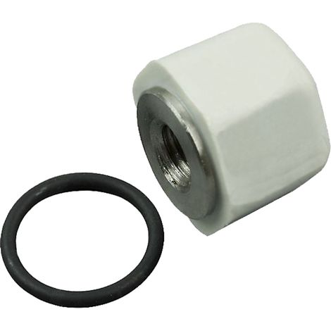 Tappo girante M8 sinistro per pompe per piscina Astralpool. (1/2)