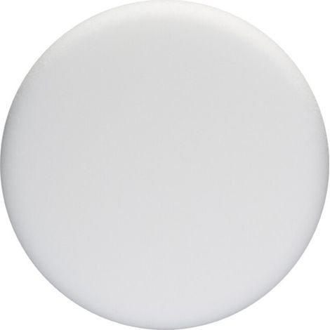En mousse souple (blanc), diamètre 170 mm Bosch Accessories 2608612024 Diamètre 170 mm N/A (1/5)