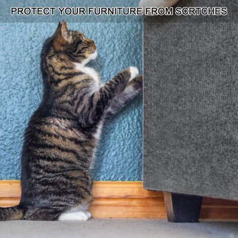 Griffoir Chat - Tapis Gratter Autocollant 40 x 200 cm - Pour Canapé Arbre à Chat Mur - 1 Pièce (1/5)