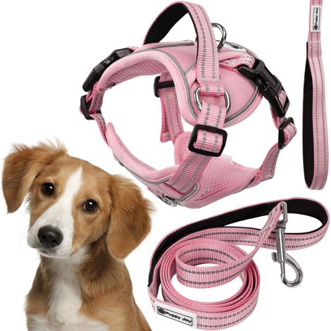 Leash and harness for a dog Tutumi PJ-056 pink M (1/5)