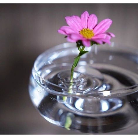 Support Flottant pour Fleurs 2025, Vase Suspendu Moderne Étanche à Rotation Dynamique, Décoration Éolienne Intérieure Extérieure, Lo (1/4)