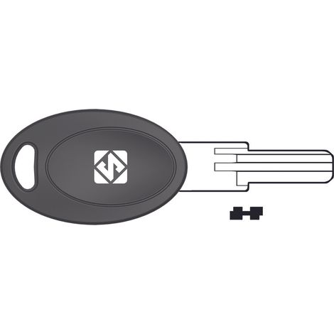 Chiavi punzonate per cilindri euro locks 5 spine eu21p - eu21p