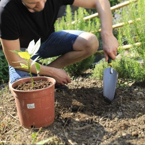 Transplantoir à dents manche bi-matière duopro - Leborgne (1/4)