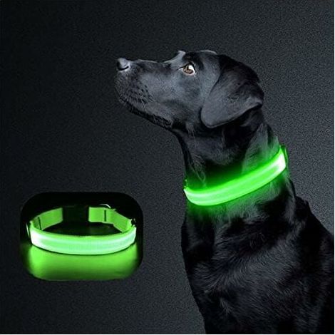Collier Lumineux Pour Chien - LED Rechargeable - Réglable En Longueur - Vert Clair - Pour Chiens Petits Et Moyens - 1 Pièce (1/5)