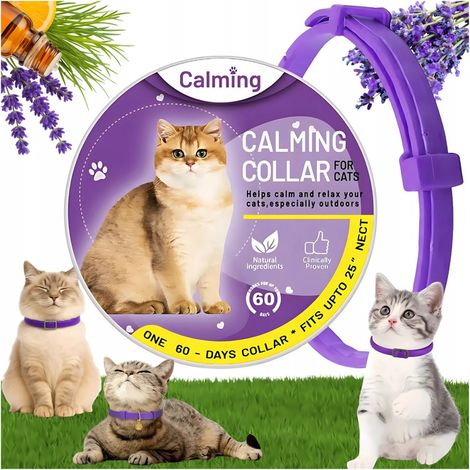 Beruhigendes Halsband mit Pheromonen für Katzen, 38 cm, Anti-Stress, 60 Tage Wirkung
