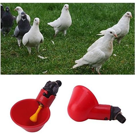 10 Pièces Automatique pour Volaille Tasses à Boire De l'eau De Volaille Mangeoire à Oiseaux Abreuvoir en Plastique Automatique pour Poulet Poule Poulailler Poulailler Arc d'alimentation (1/5)