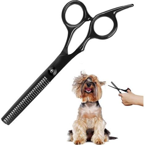 Ciseaux pour chiens,ciseaux pour couper les poils de chien, ciseaux de toilettage en acier inoxydable pour chiens et chats (1/5)