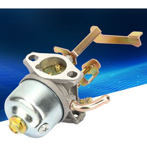 180 Grad drehbarer 15-mm-Vergaser-Austauschsatz für Generator 152F/154F (1/5)