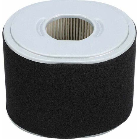Filtre de Filtre à air de Tondeuse Compatible avec Honda GX390 GX340 11 13 HP