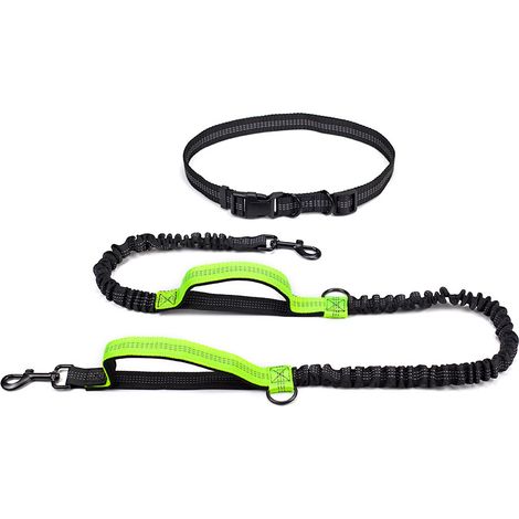 Laisse pour chien mains libres, coutures réfléchissantes, réglable, idéale pour la course, le jogging et la marche, absorption des chocs (1/5)