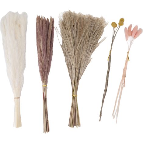 Lot de 70 fleurs séchées, herbes de la pampa, roseaux, queues de lapin, boutons de Billy, décoration maison mariage (1/5)
