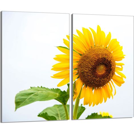 Piastra protettiva in vetro per la stufa 2x30x52 Fiore (1/5)