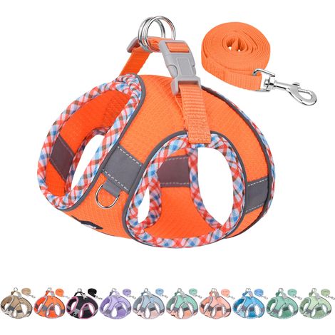 Harnais pour Chien  Anti-étranglement, Harnais réglable pour Chien avec Laisse, Boucle à dégagement Rapide - Entraînement Orange L