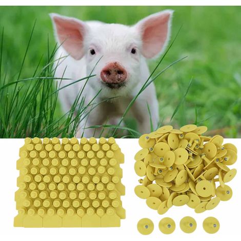 100 Lose/Verkauf von Ohrmarken für Schweine, Ferkel und Lämmer, unbedruckte Ohrmarken für Schweine (1/5)