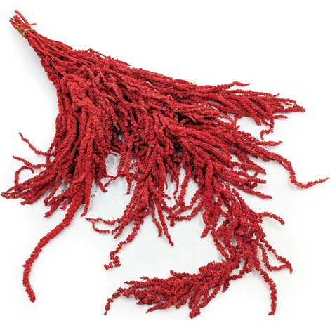 Amaranto estabilizado - Amaranto - Rojo