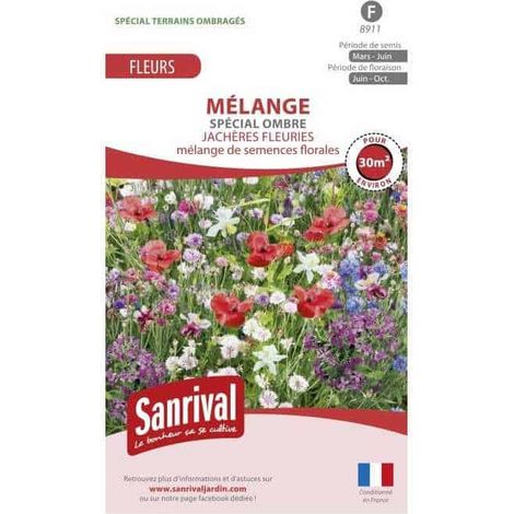 Mélange de graines Vivaces demi-ombre