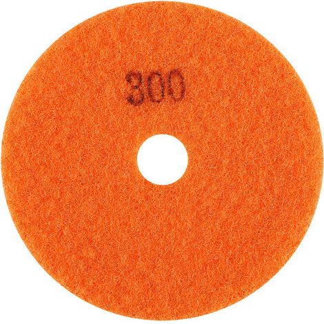 Schleifscheibe, 100 mm Hochleistungs-Schleifscheibe, rostfrei, zum Schleifen, Mischen, Polieren und Veredeln (300).