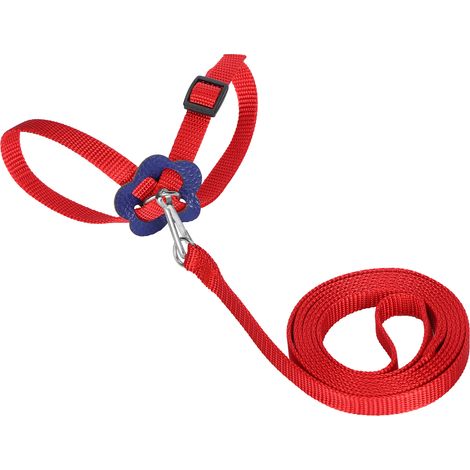 Harnais pour oiseaux, laisse pour perroquet, corde anti-morsure en Nylon réglable pour oiseaux pour l'entraînement en plein air (Rouge) (1/5)